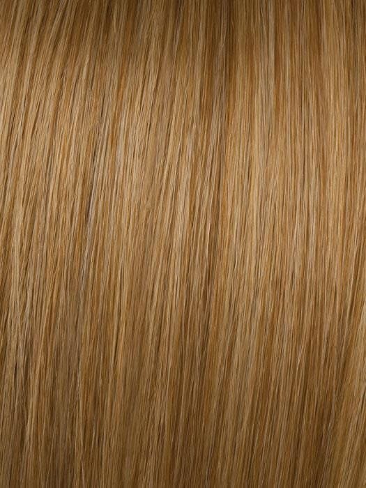 12" Simply Straight Pony | Hairdo - R14/25 image