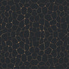 Onyx Trails